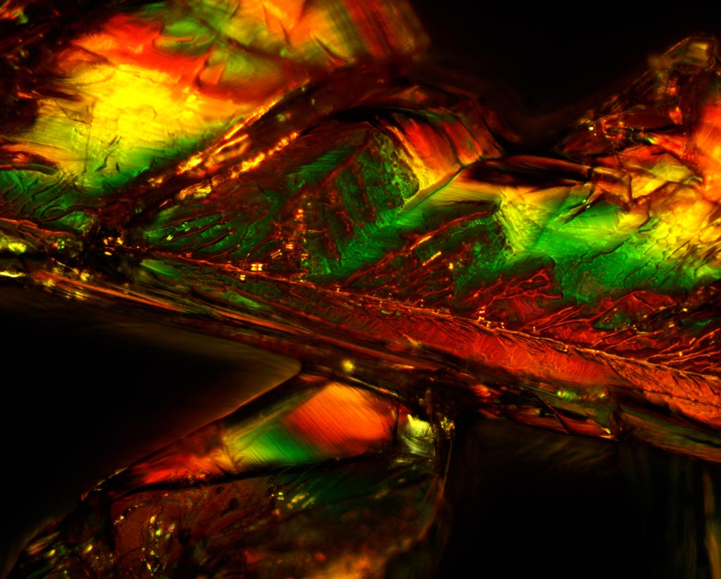 potassium ferricyanide crystals 10x BD with crossed polarizers in brightfield